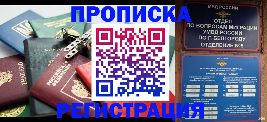 временная регистрация недорого в Мурино